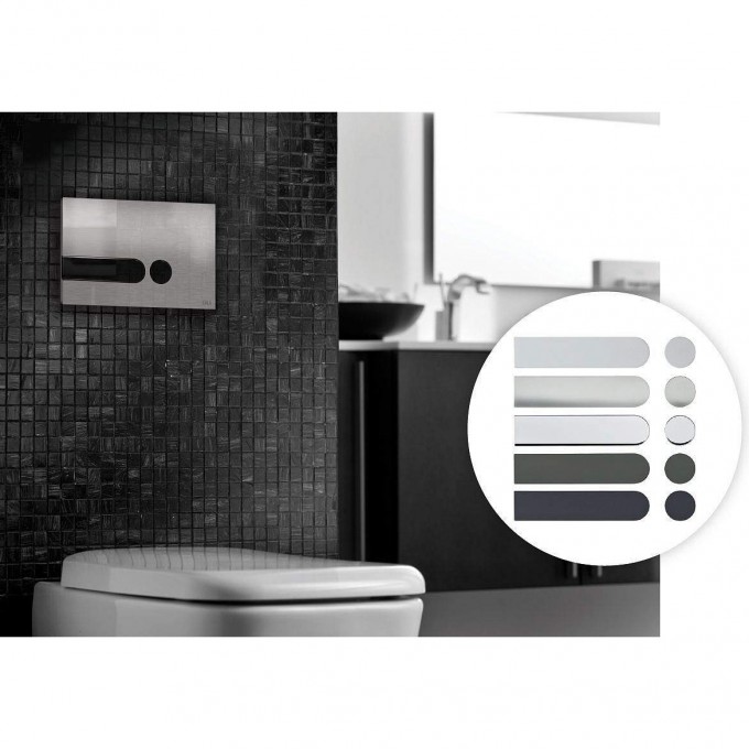 Кнопка смыва OLI iPlate Elegance , биколор сталь/черный 670052