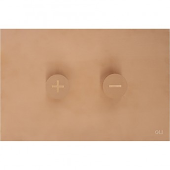 Кнопка смыва OLI TRUMPET 878784 пневматическая нержавеющая сталь бронза